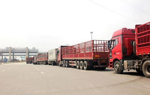 貨運行業新動向 兩會提案聚焦高速免費與多證合一，助力道路貨物運輸代理發展